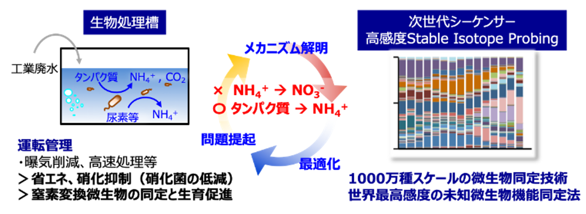 微好気性NH4+変換プロセス