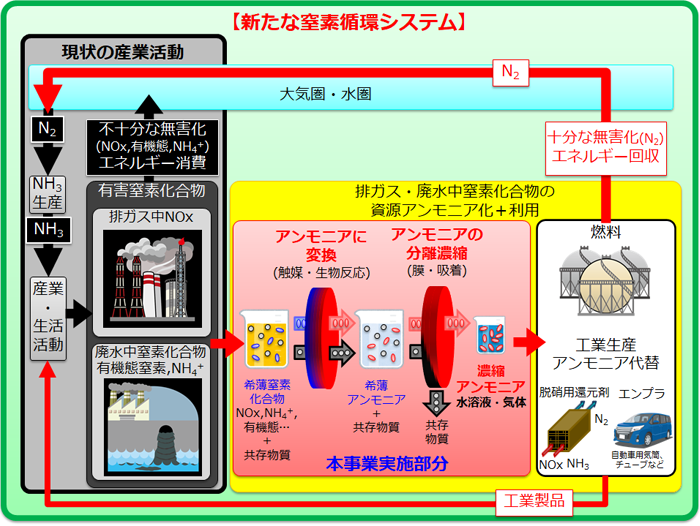 新たな窒素循環システム