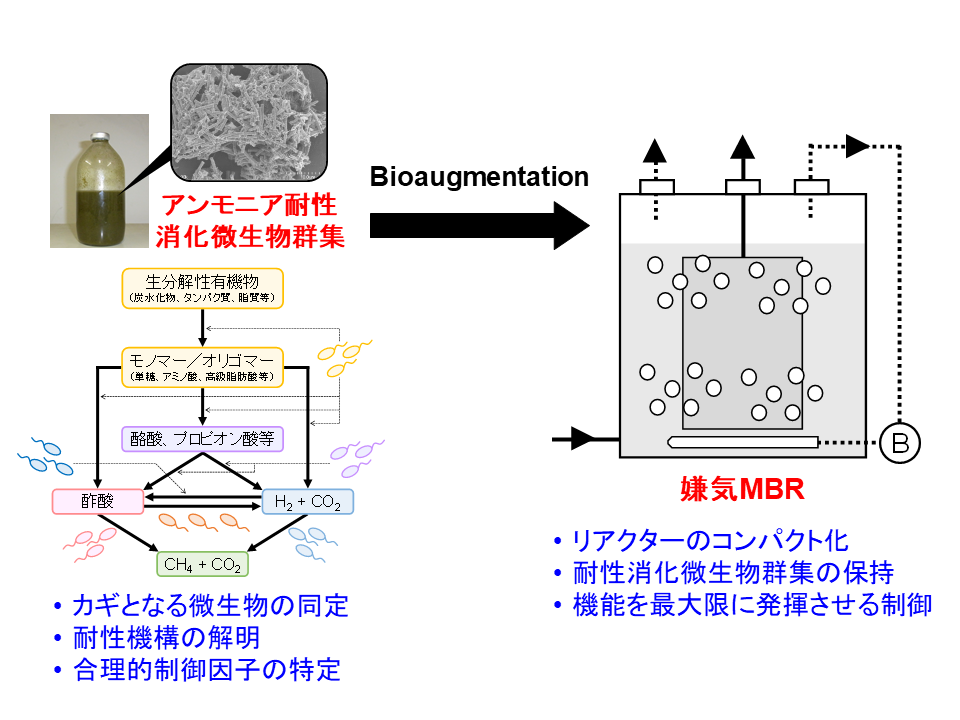 高窒素濃度対応型嫌気MBR