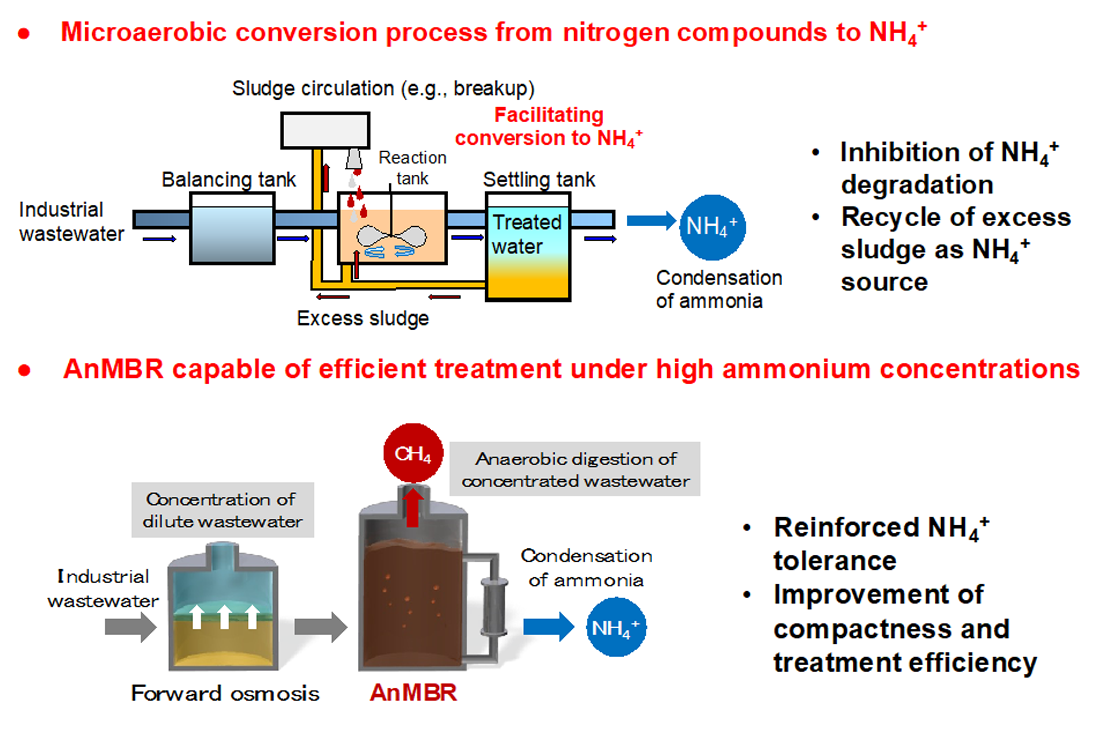 微好気性NH4+変換プロセス