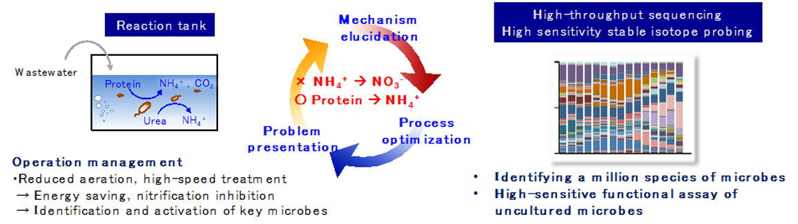 微好気性NH4+変換プロセス